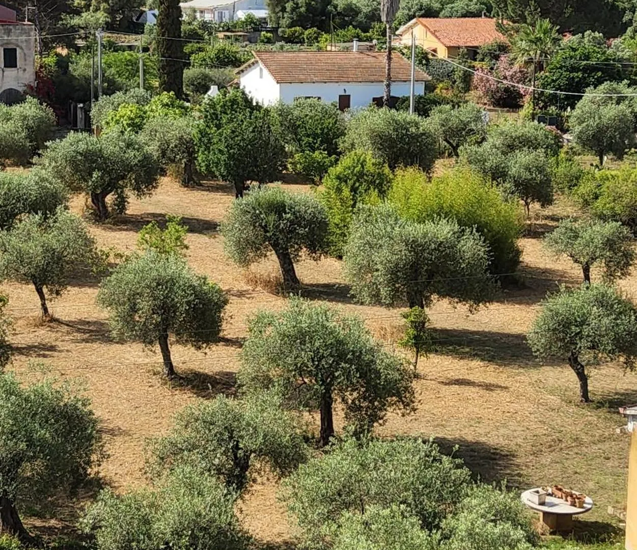 B&B Stella Di Mare Alghero 0*,  Italy